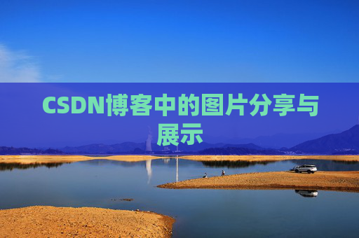 CSDN博客中的图片分享与展示